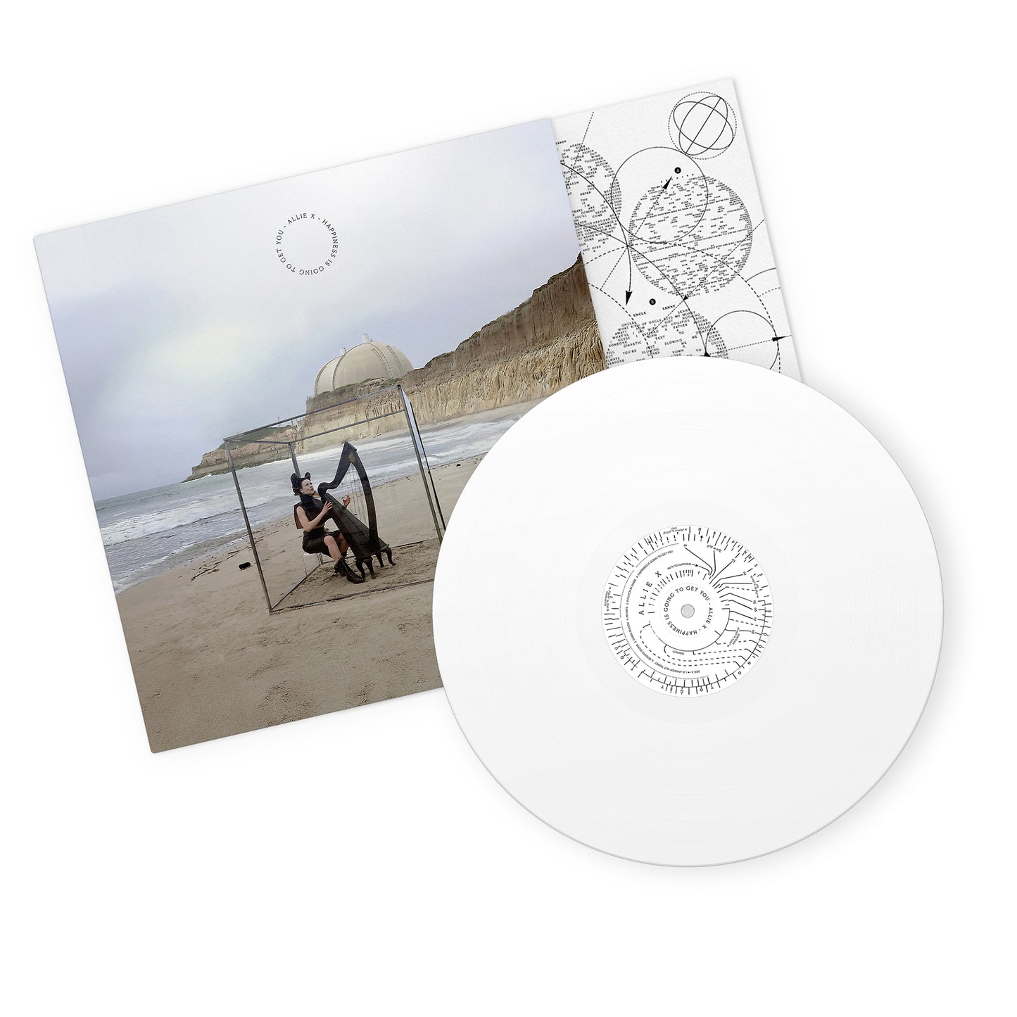 Happiness Is Going To Get You - Standard LP